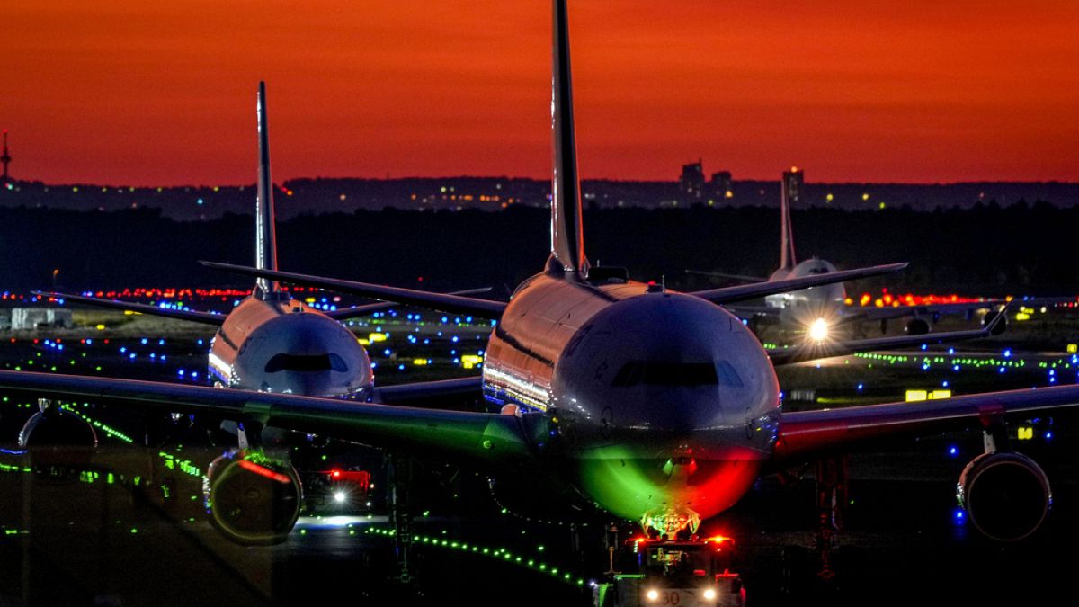 Frankfurt Havalimanı'ndaki elektrik kesintisine fındık faresinin neden olduğu bildirildi