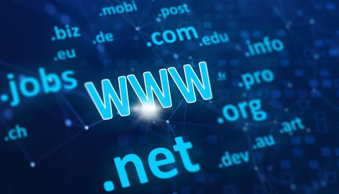 Alan Adı (Alan Adı) İsteği: Alan adı (Alan adı) nedir, Alan adı (Alan adı) isteği nasıl yapılır?