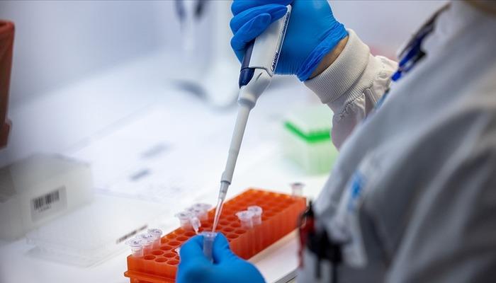 Dünya Sağlık Örgütü bunu "şimdiye kadarki en tehlikeli varyant" olarak nitelendirdi!  O ülkede de görüldü