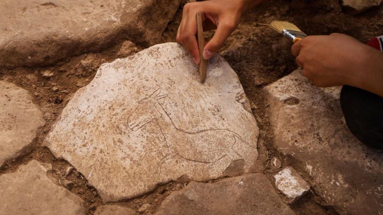 Neolitik çağ yerleşim yerlerinden Karahantepe'de koşan yaban eşeği figürü bulundu.