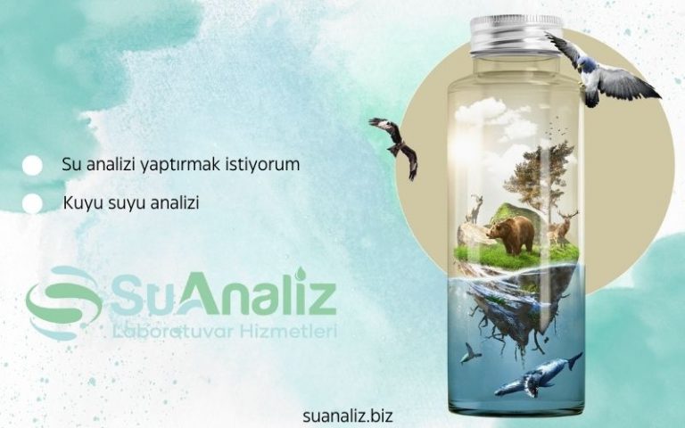 Kuyu Suyu Analizi: Neden Herkes İçin Gerekli?