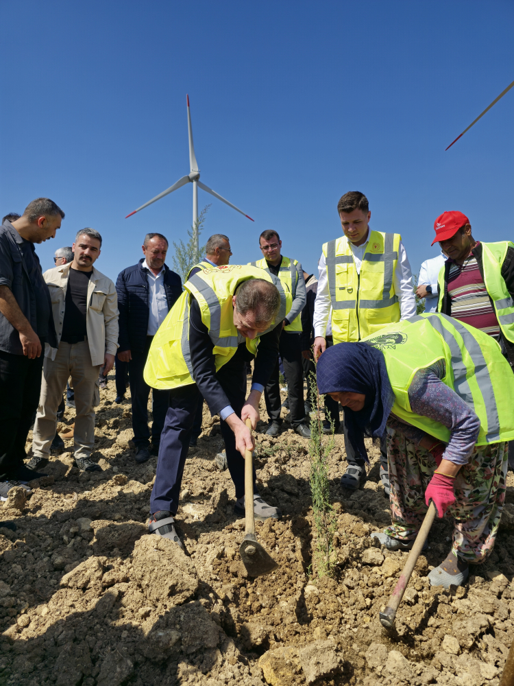 Enerji ve Doğal Kaynaklar Bakanlığı 100 Bin Anaokul "Enerji ormanı" yaratma
