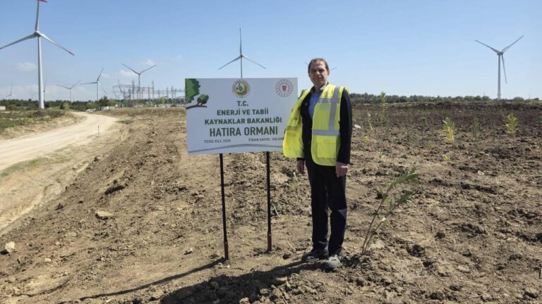 Bakanlık 100 bin fidanlık “enerji ormanı” oluşturuyor