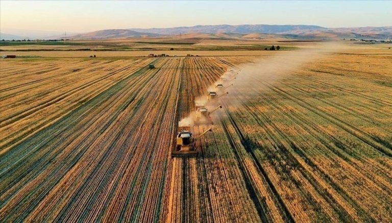Tarımsal destekleme ödemeleri sorgulama ekranı 2025: Temmuz ayı çiftçi destek ödemeleri yattı mı, ne zaman yatacak? – Son Dakika Ekonomi Haberleri
